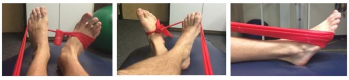 小腿内侧胫骨后肌的训练